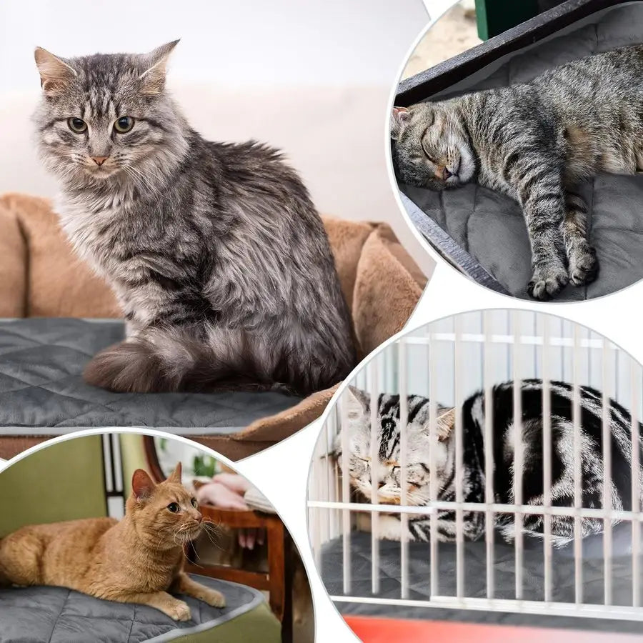 4 Pack Self Heating Cat Pad Self Warming Dog Mat Reflects Body Heat Extra Warm Thermal Pet Pad Washable Dog Cat Bed Crate Bed Ma