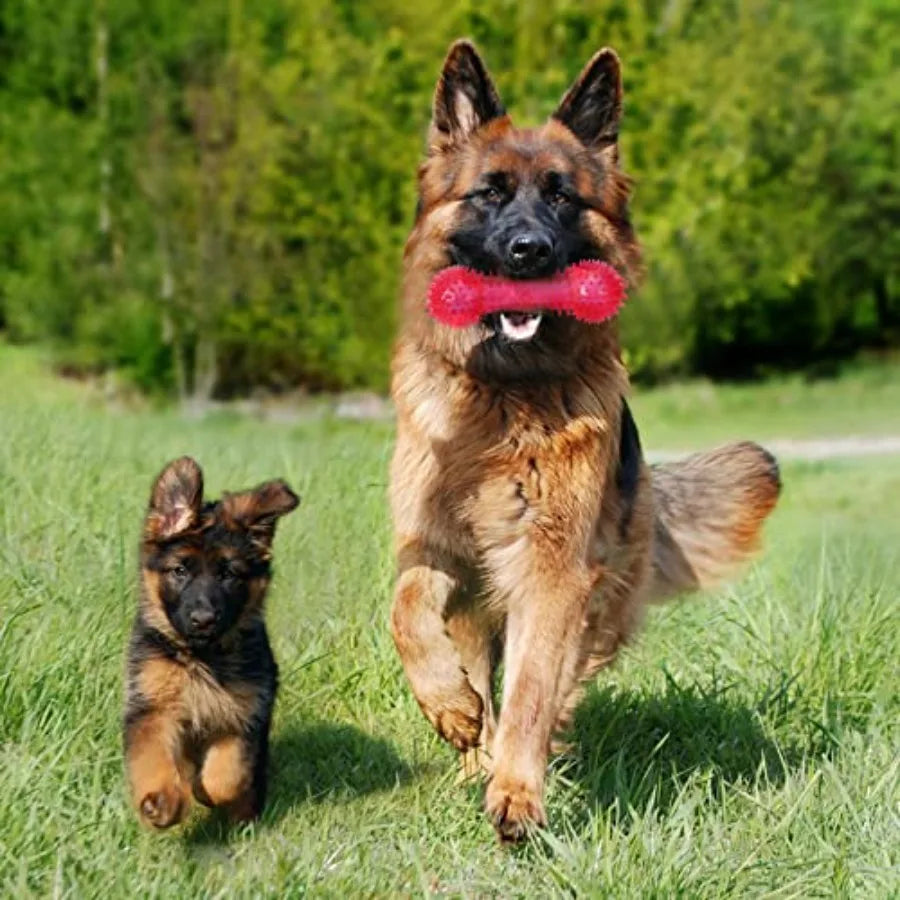 16 Pcs Dog Squeaky Toys Bulk Set Spiky Dogs Donut Bone Teething Toys Squeaky Balls TPR Rubber Toss Fetch for Puppy Small Medium