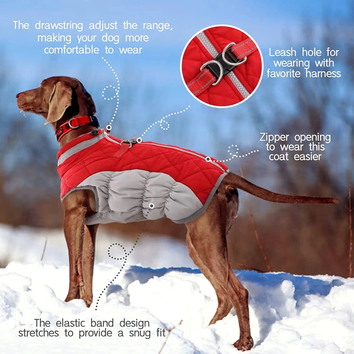 Waterproof Dog Winter Jacket with Built-in Harness, Reflective Vest for Small Dogs, Warm Fleece Snowsuit Windproof Red