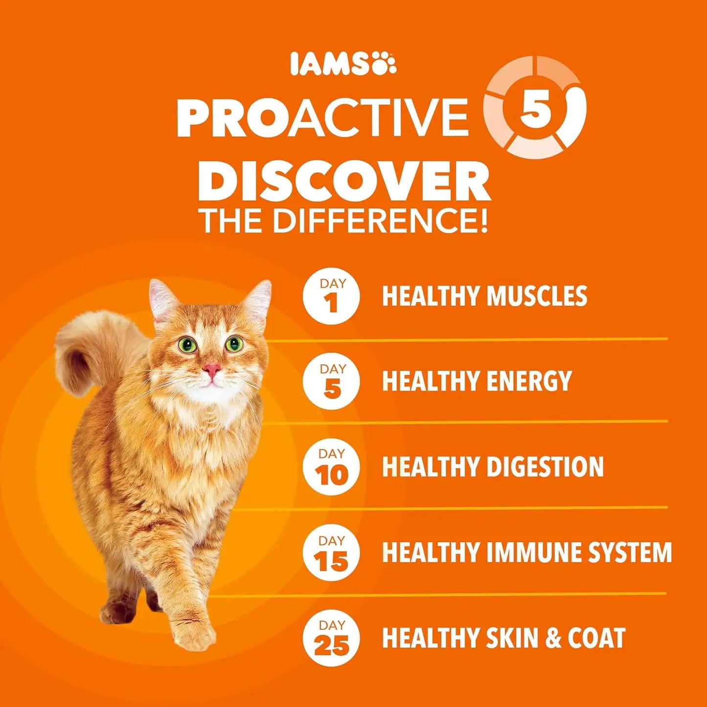 Proactive Health Dry Cat Food for Adult Cats, Chicken Recipe, 7 lb Bag
