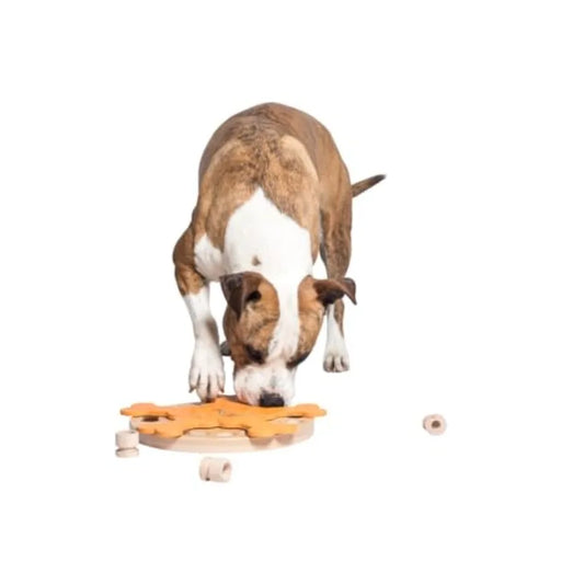 Carousel of Bones - Interactive Wooden Dog Puzzle Toy Challenging Brain Game for Mental Stimulation and Enrichment Fun Toy for