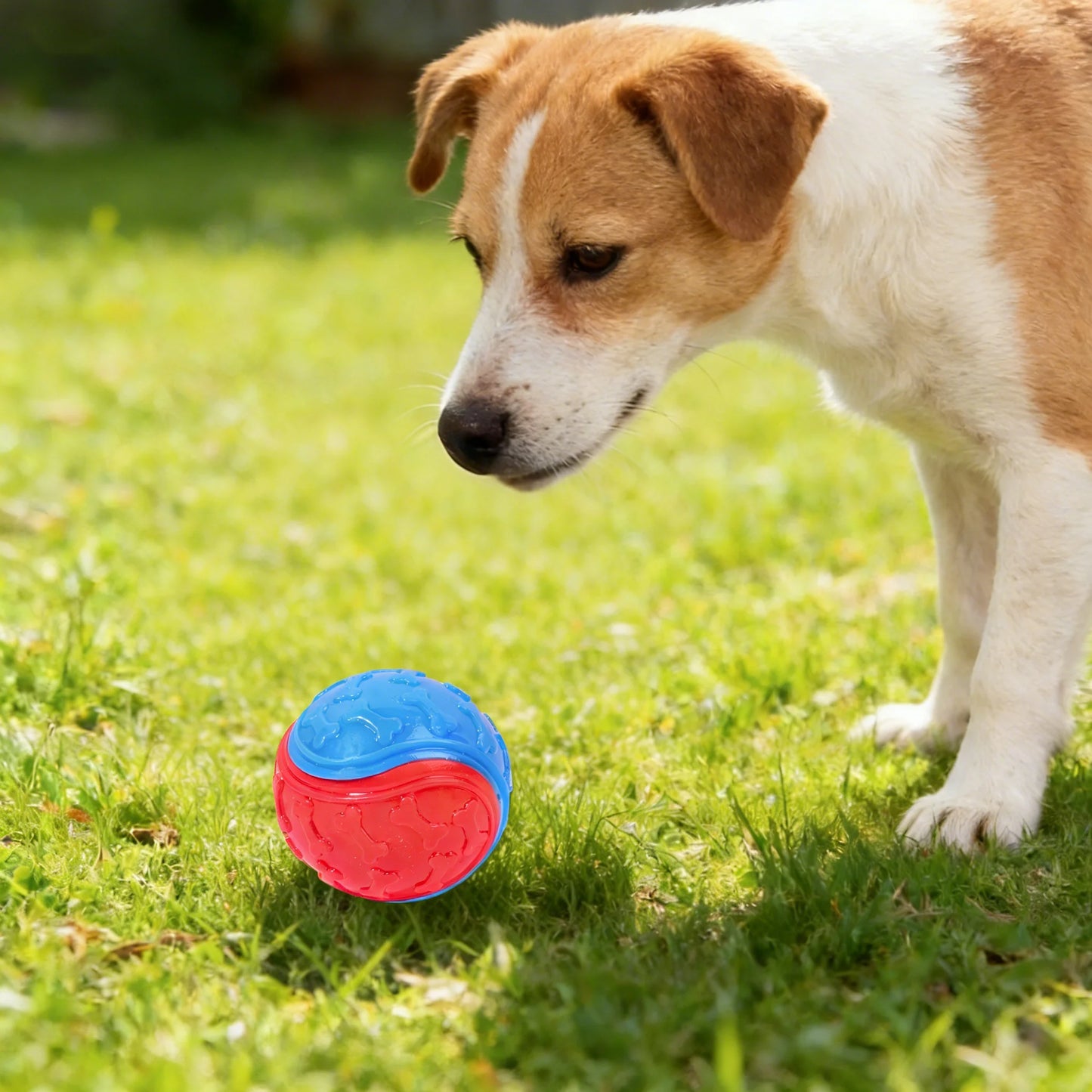 1/3PCS Squeaky Dog Ball Toy TPR Bite Resistant Throw Fetch Interactive Pet Toy Teeth Cleaning Training Chew Ball for All Dogs