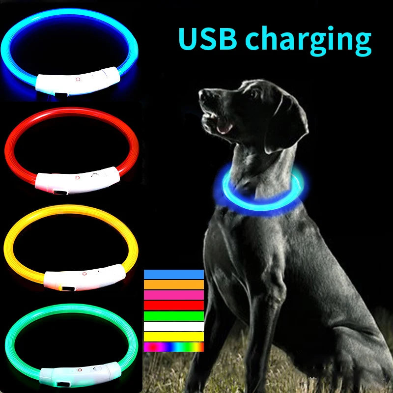 USB Rechargeable LED Fiber Optic Collar for Pets Luminous Anti-Lost Dog Accessory Outdoor Light Collar
