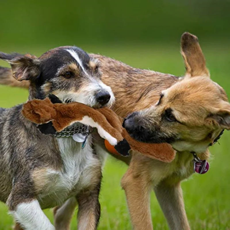 Pet dog toys, durable chew-resistant squeaky plush supplies for medium and large pets